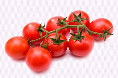 pomidori_cherry_na_vetochke